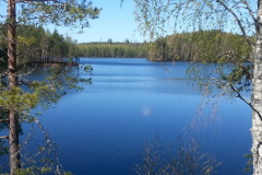 20140517_113903